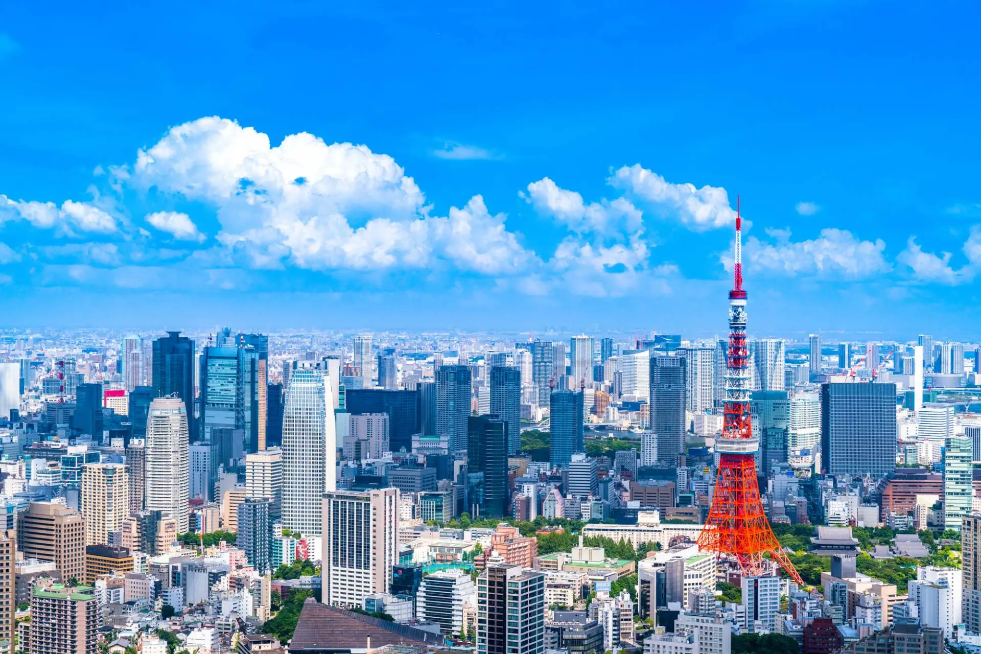 東京鐵塔.webp