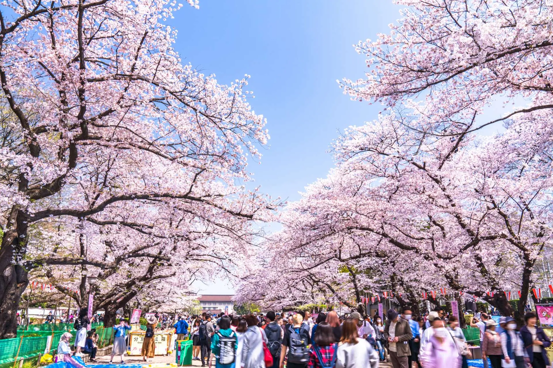 上野公園.webp