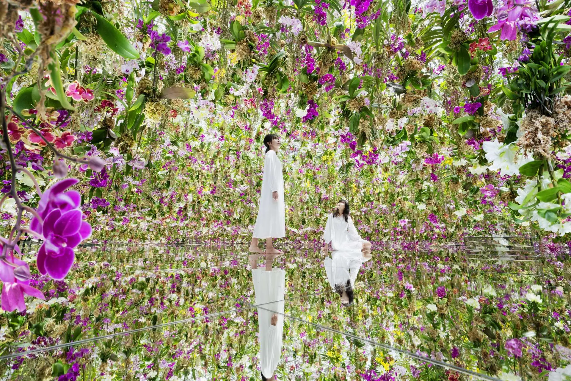 豐洲 teamLab Planets TOKYO DMM.webp